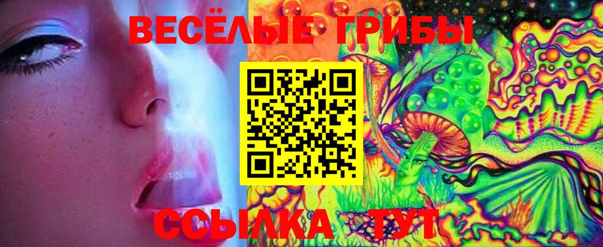 ГАШИШ Анжеро-Судженск