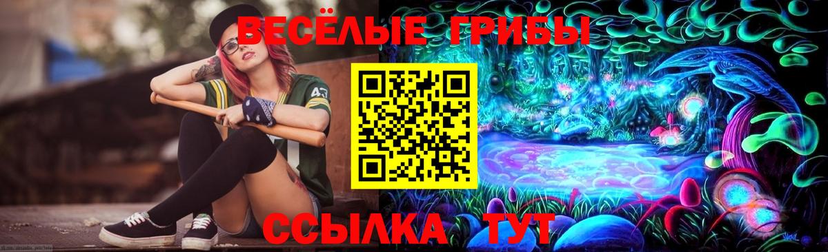 Анжеро-Судженск  Псилоцибиновые грибы MAGIC MUSHROOMS  Вход с VPN 